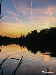 Langener Waldsee