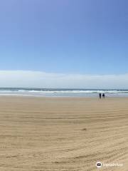 Ocean Dunes State Vehicular Recreation Area