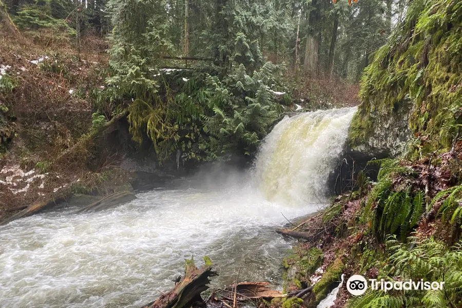 Stocking Creek Trail