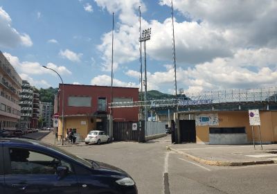 Stadio Giuseppe Sinigaglia