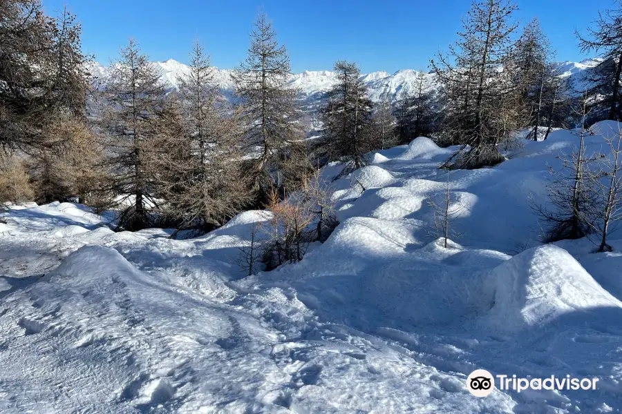 Office de Tourisme les Orres