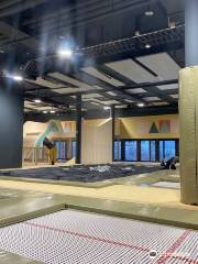 Freestyle Academy - Indoor Base