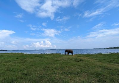 북중부 주