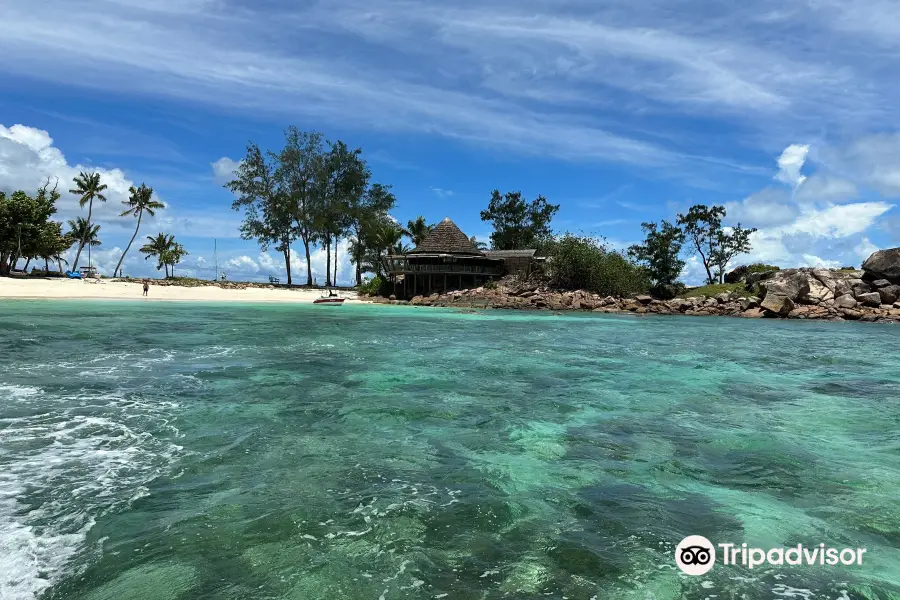 Surfari Seychelles