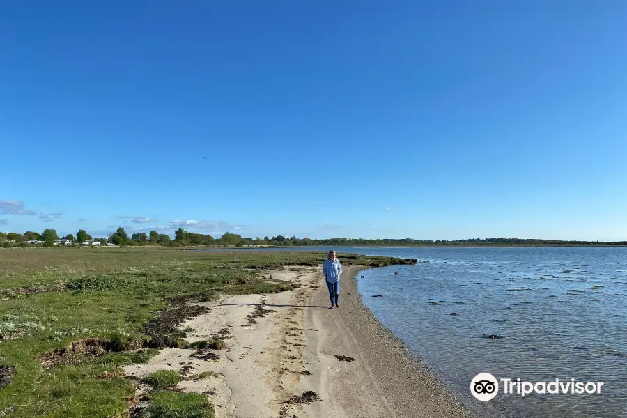 Eskebjerg Vesterlyng