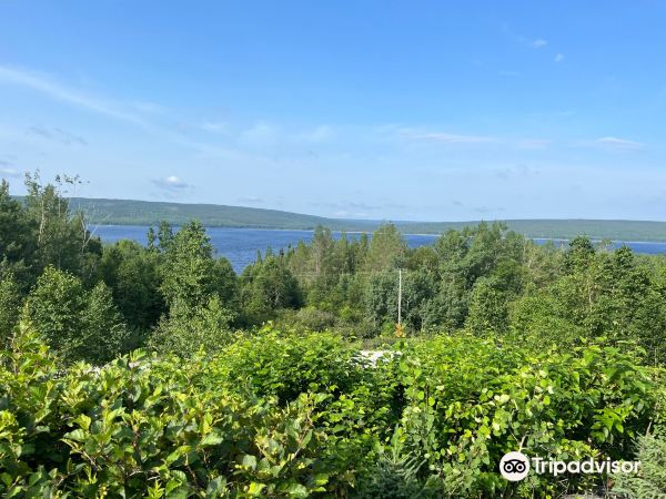 St. John's - Gander uçuşu