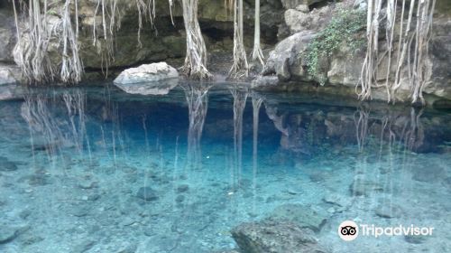 Cenote X Batun