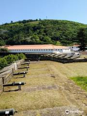 Fortaleza De Sao Joao Baptista