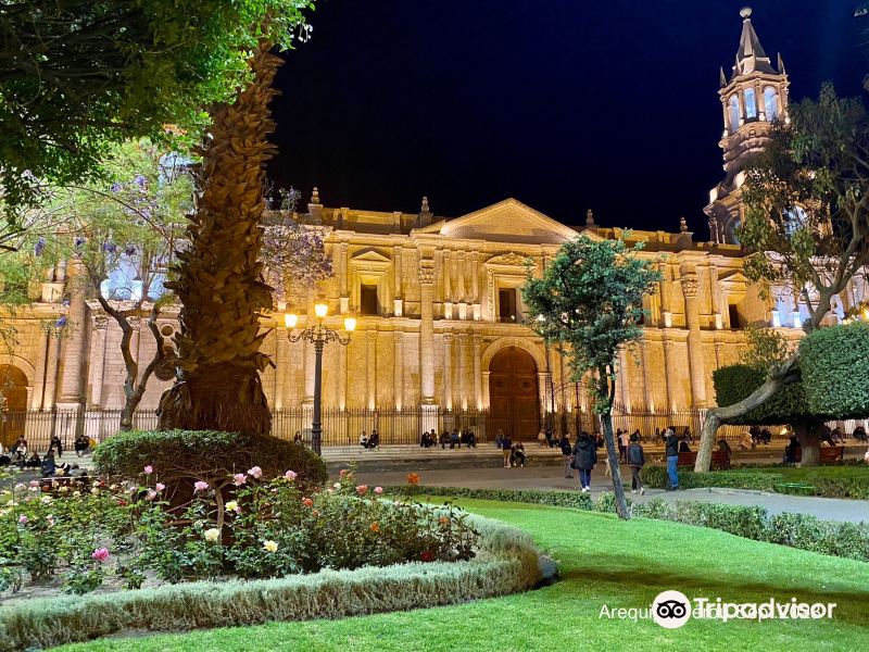 Tarapoto to Arequipa Flights