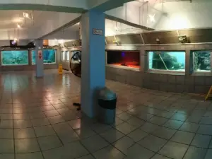 Aquarium