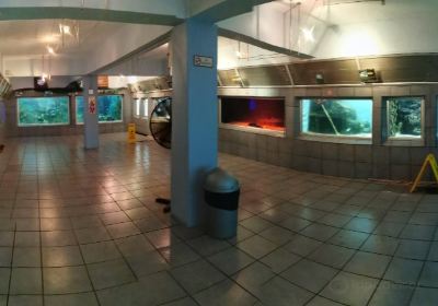 East London Aquarium