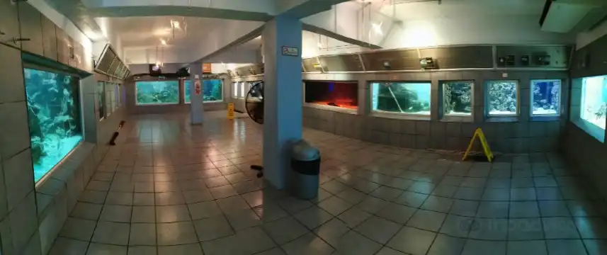 Hotels near Aquarium