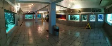 Aquarium