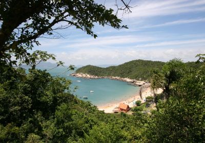 Praia da Tainha