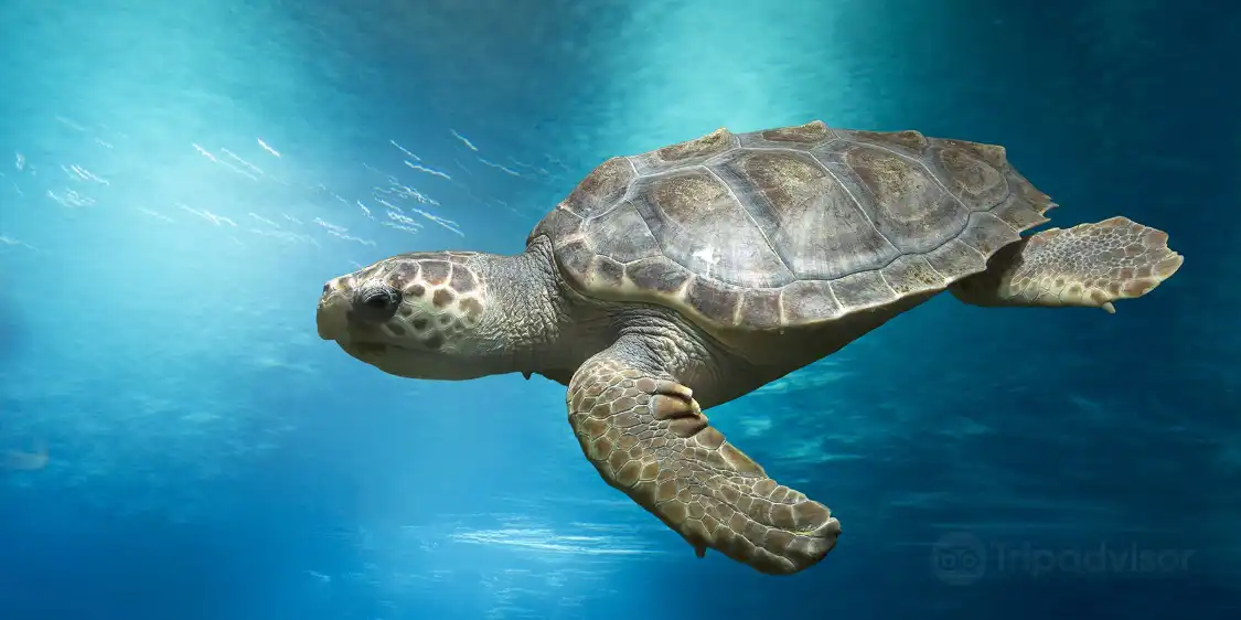 Hotels near Oceanarium