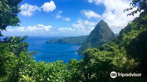 Pitons