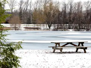 Bellevue State Park