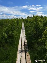 Store Mosse Nationalpark