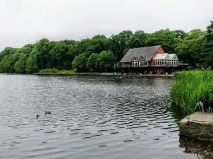 Llandrindod Lake