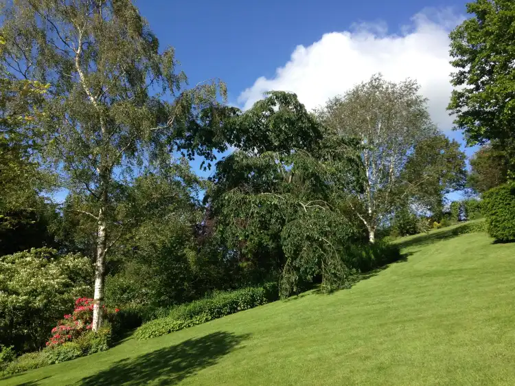 Hotels in Llanfihangel Ystrad
