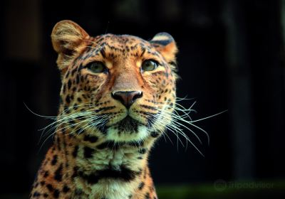 Liberec Zoological Garden