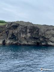 與那國島海底地形