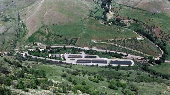 Rapid River Hatchery - Idaho Fish and Game