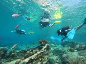Jan Thiel Diving Curacao
