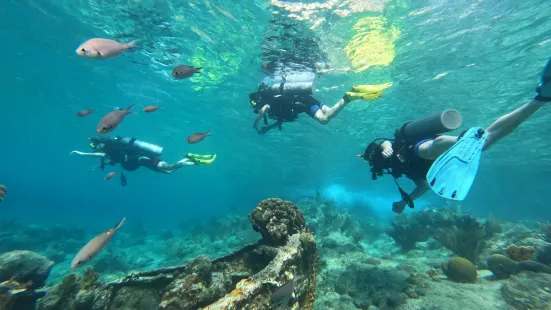 Jan Thiel Diving Curacao