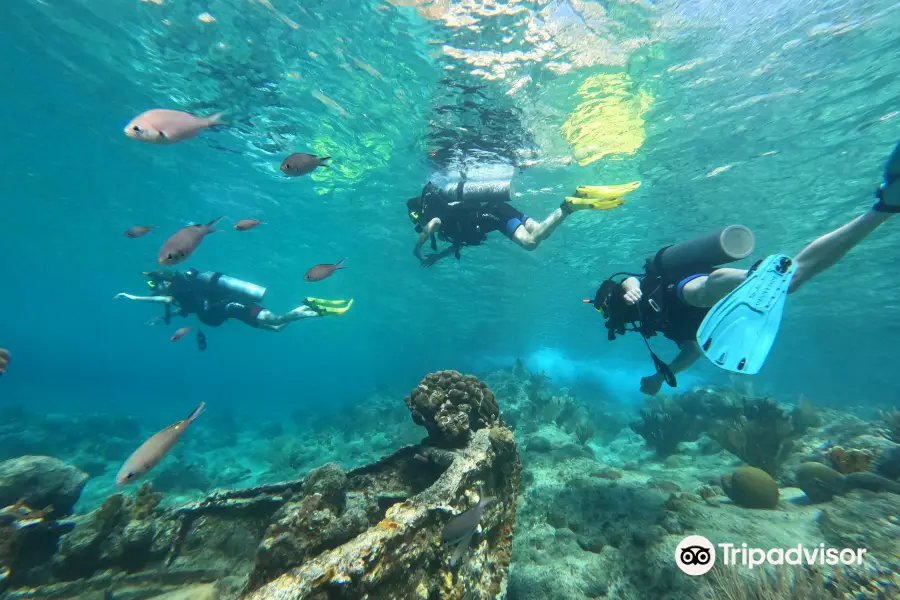 Jan Thiel Diving Curacao