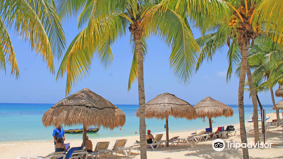 Nachi Cocom Cozumel Beach Club & Water Sport Center