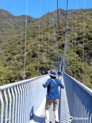 Puente colgante Aya no Teruha