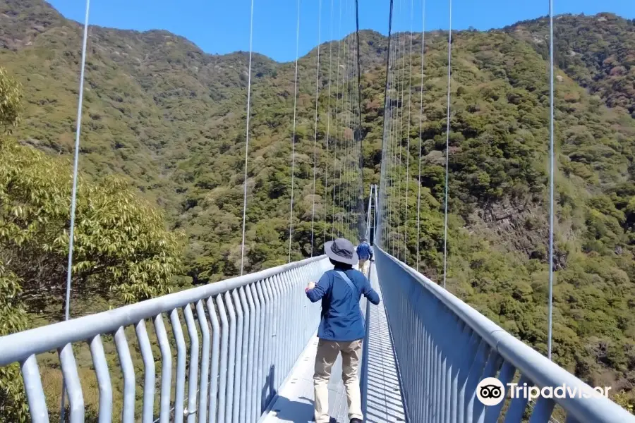 綾的照葉大吊橋