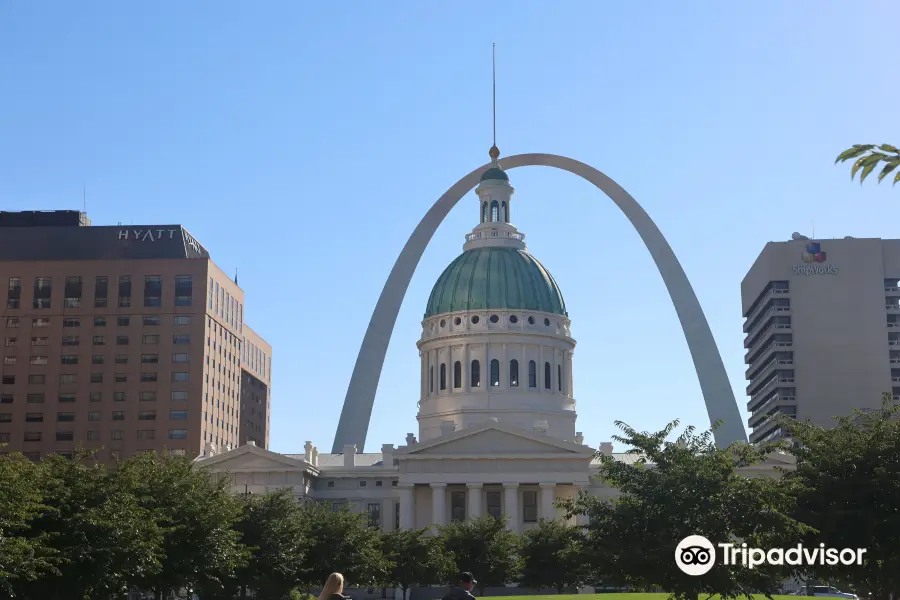 See STL Tours