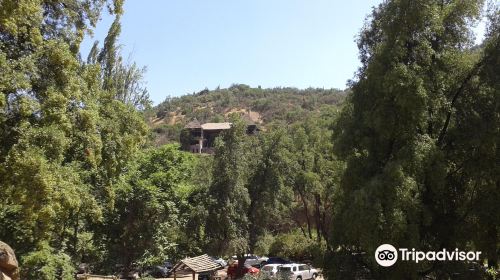 Santuario de La Naturaleza El Arrayán