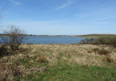 Colliford Lake