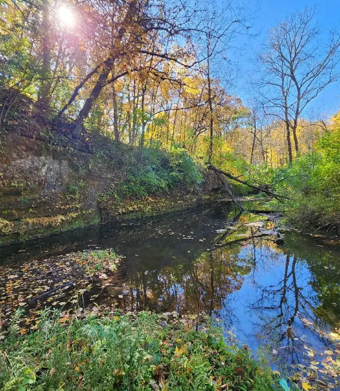 Winnebago Township