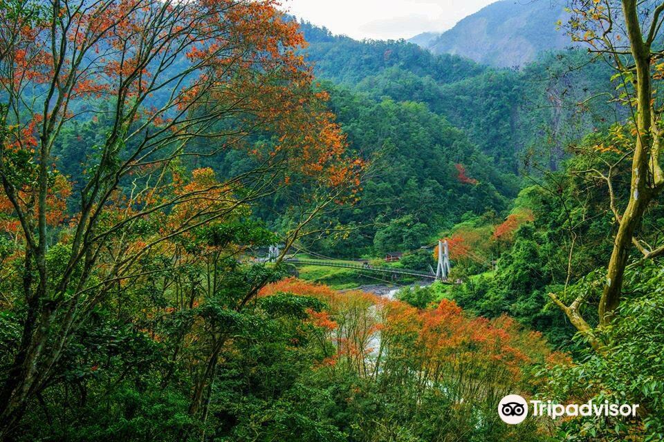 Taipingshan National Forest Recreation Area