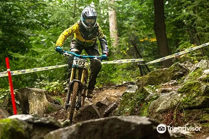 Bike Park Pohorje