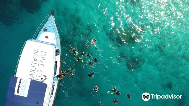 Scuba Diving in Malé