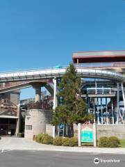 Pacific Salmon Visitor Information Center