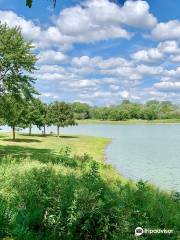 Lake Arlington