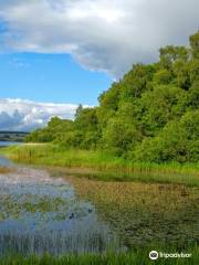 Gartmorn Dam Country Park