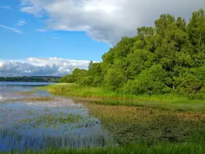Gartmorn Dam Country Park