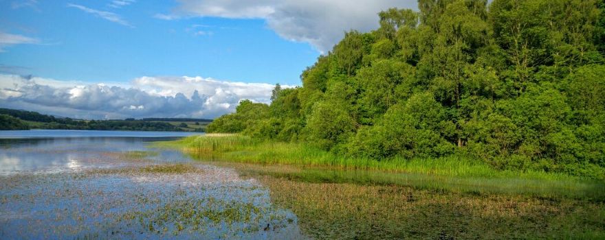 Gartmorn Dam Country Park