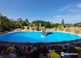 Loro Parque