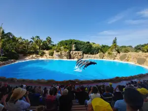 Loro Parque
