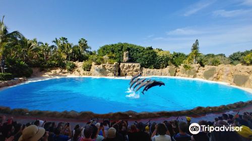 Loro Parque