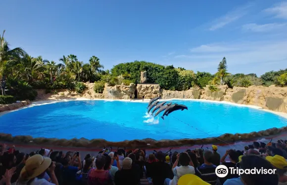 鸚鵡公園門票成人