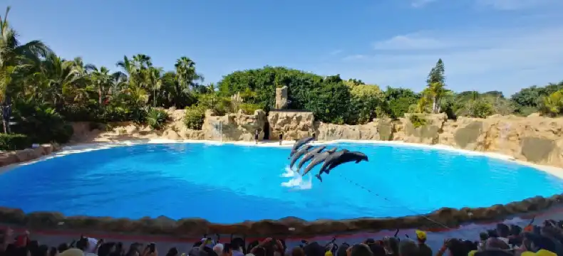 Hoteles cerca de Parque Loro